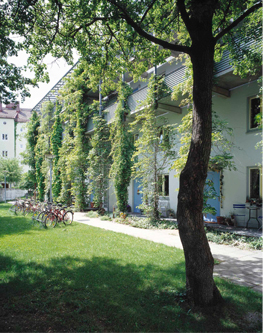 Blick in den begr&uuml;nten Hof